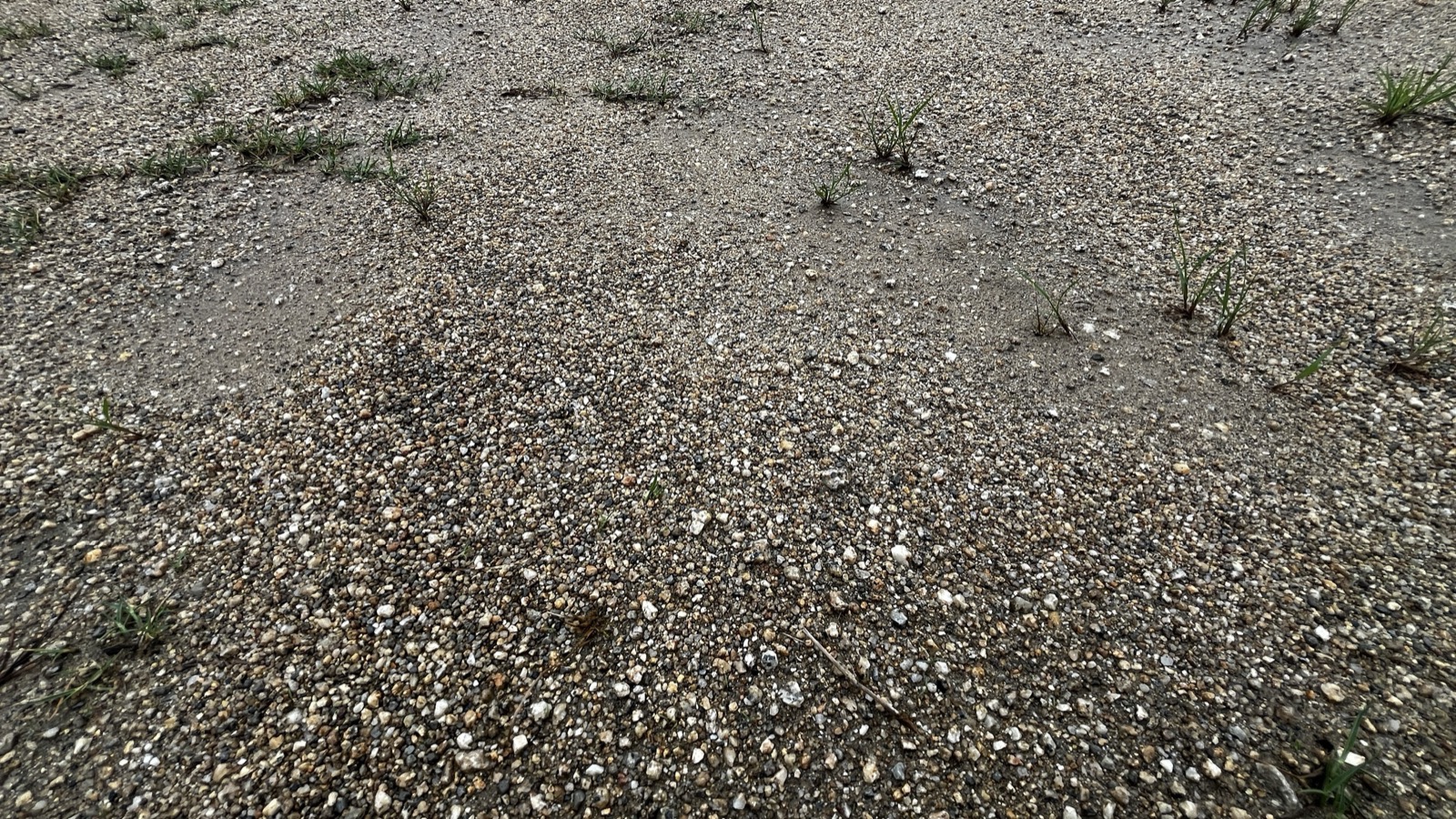 土と砂利のままのグラウンド