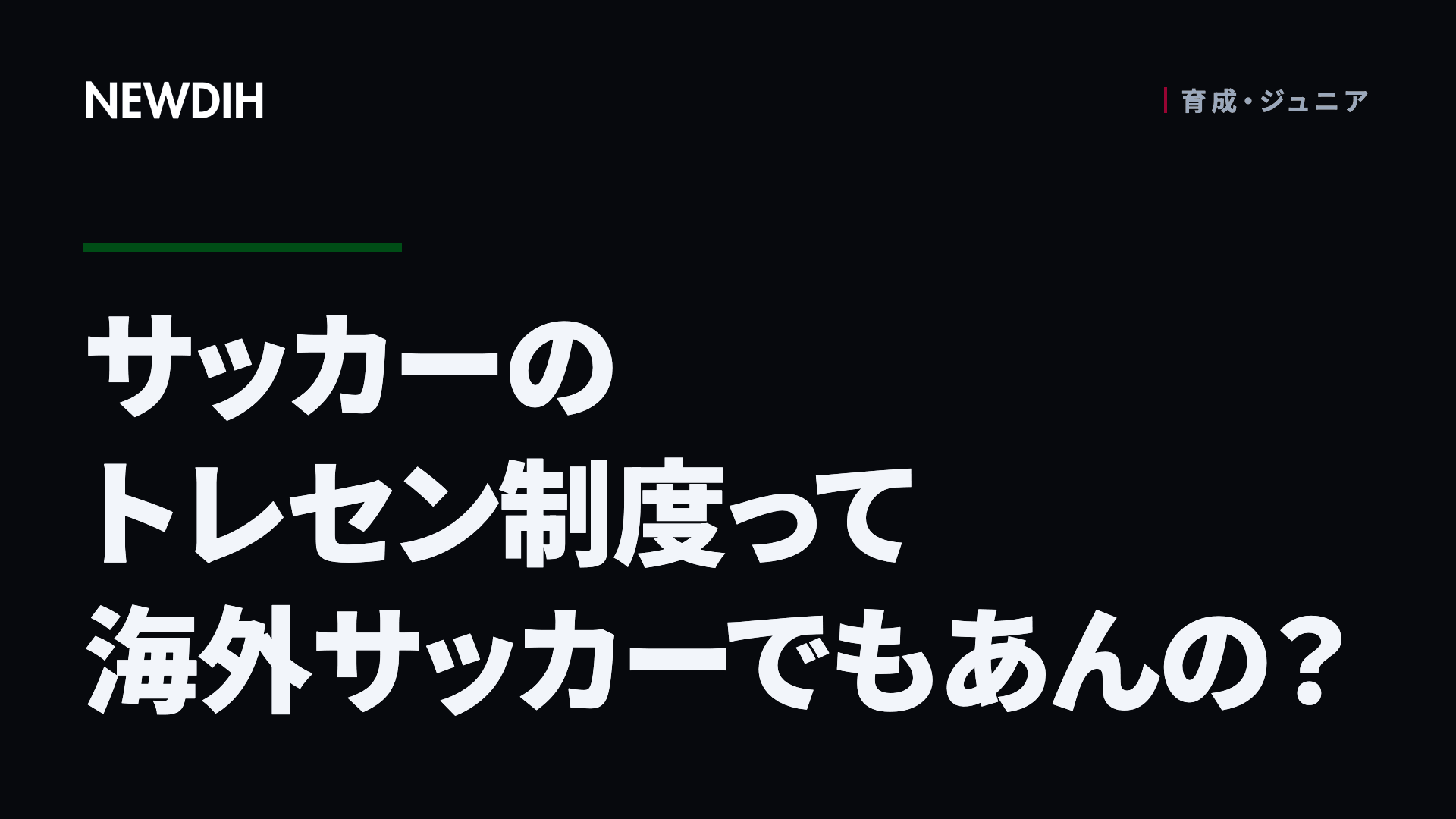 サッカーのトレセン制度って海外サッカーでもあんの？