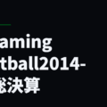 Dreaming Football2014-15総決算